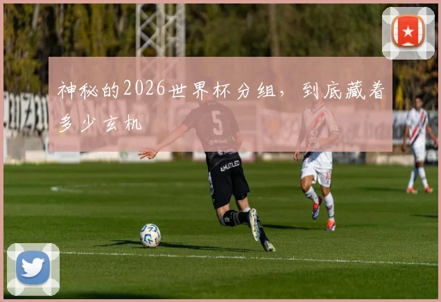 神秘的2026世界杯分组，到底藏着多少玄机