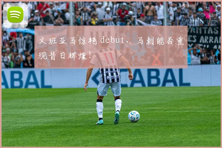 文班亚马惊艳 debut，马刺能否重现昔日辉煌！
