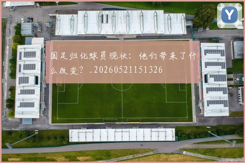 国足归化球员现状：他们带来了什么改变？_20260521151326